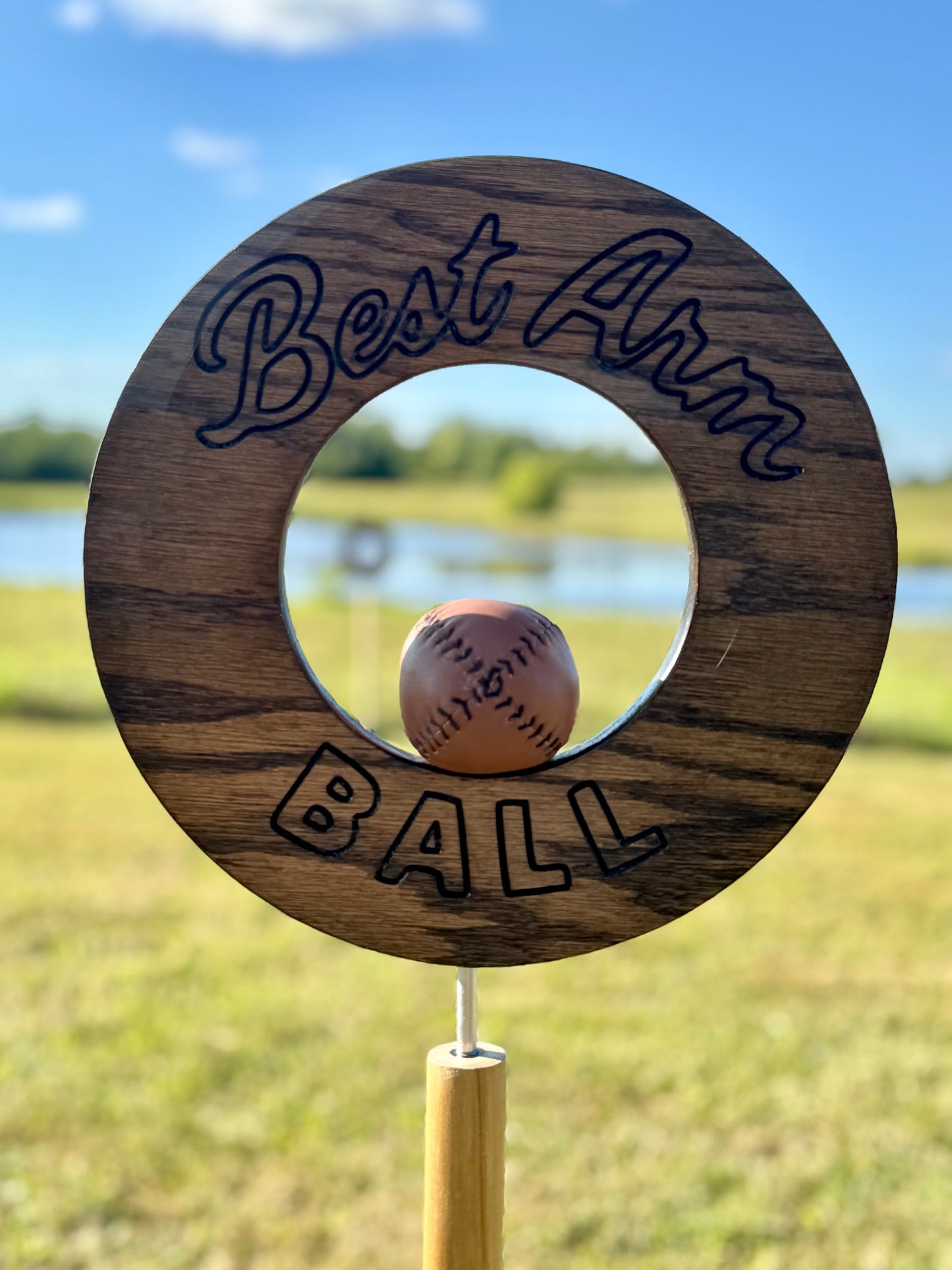 Best Arm Ball Yard Game